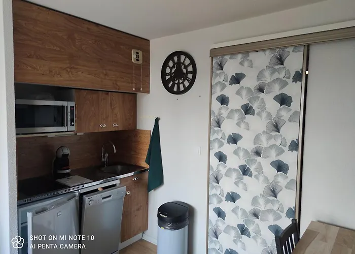 Apartamento Les Marmottes N 112 St5 Chamrousse